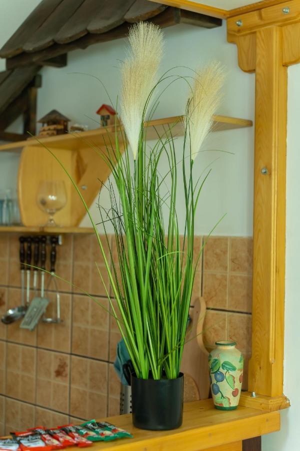Heart Of Zemun Apartment Белград Екстериор снимка